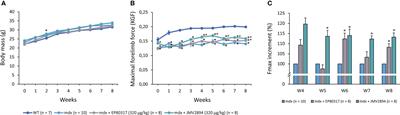 Growth hormone secretagogues modulate inflammation and fibrosis in mdx mouse model of Duchenne muscular dystrophy